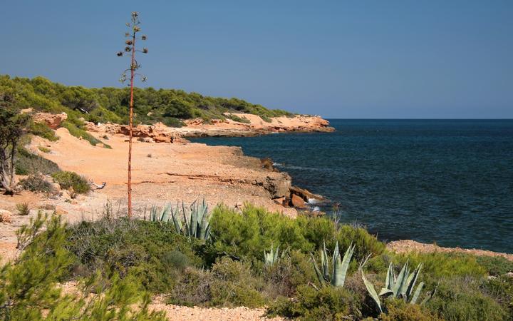Kustlandschap van de Costa Dorada met pijnbomen en de Middellandse Zee
