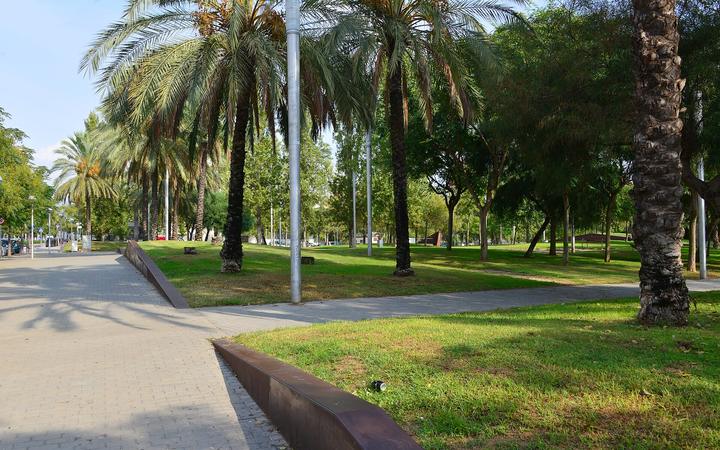 De kleine baai Cala Crancs in Salou met helder water, rotsen en dennenbomen