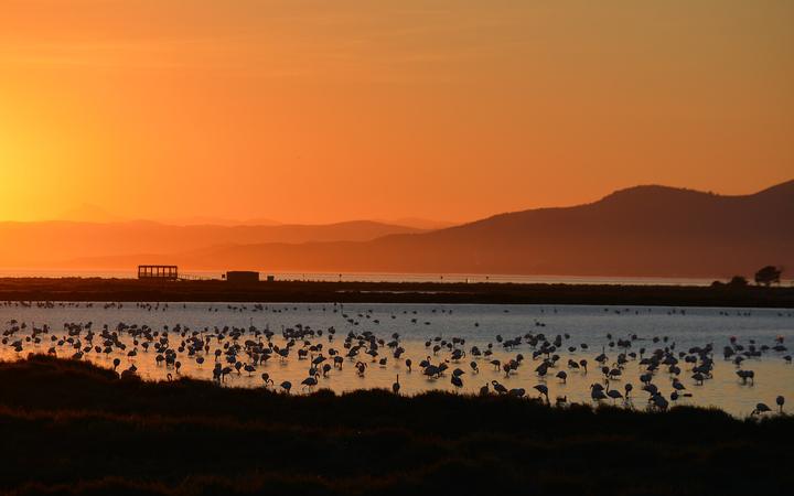 Zonsondergang boven de baai en rijstvelden van de Delta de l'Ebre met silhouetten van riet