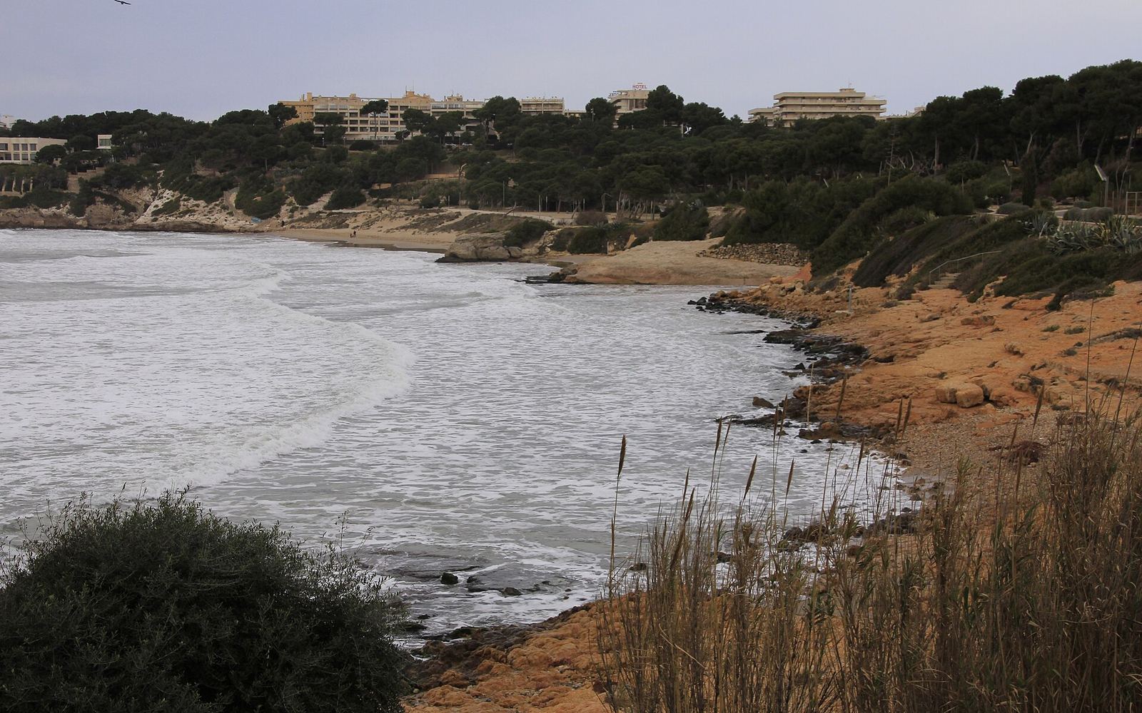 Platja Llarga in Salou, een lang en smal zandstrand met dennenbomen erachter